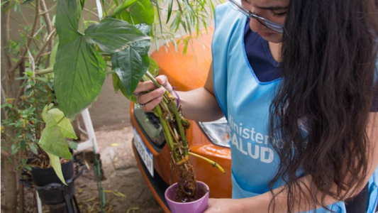 El dengue cede en la provincia de Córdoba, aunque no hay que relajarse en los cuidados