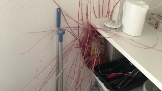 Se asustó al pasar tres meses confinada y hallar un extraño objeto al entrar a su departamento