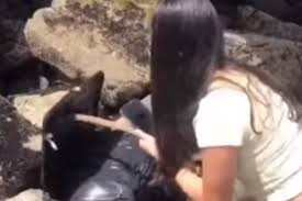 Paseaban por la playa, hallaron una valija con un cuerpo adentro y publicaron el video en TikTok