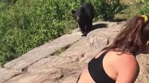 Video: la increíble reacción de una chica que se cruzó muy cerca con un oso