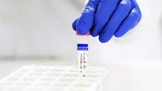 Hallan una nueva cepa del coronavirus: es hasta 9 veces más infecciosa que la original