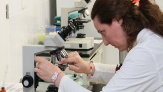 Cómo se activa en Córdoba la red de control ante un caso positivo