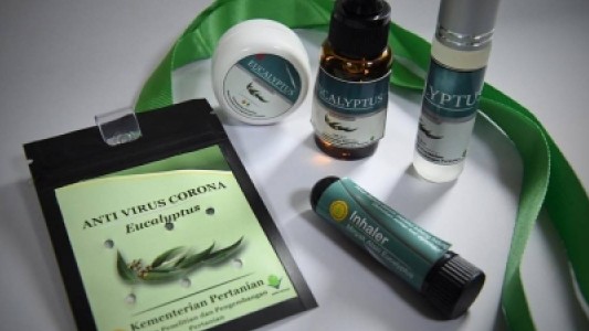 El Gobierno de Indonesia promociona un collar de eucaliptus como remedio contra el coronavirus