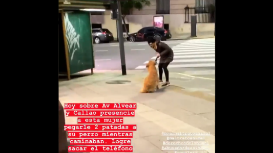 Maltrató a su perro en la calle, la filmaron e intervino la justicia