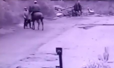 Video: paseaba al perro y le robaron a caballo