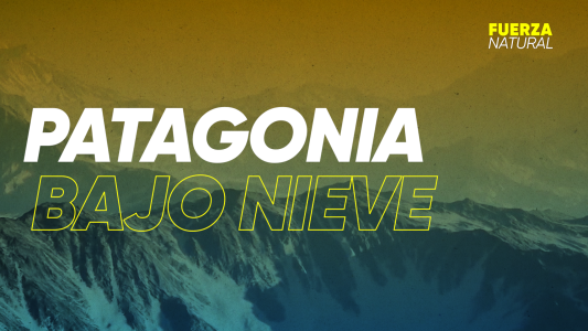 Tapados de nieve: Así se vive desde adentro la nevada histórica en la Patagonia