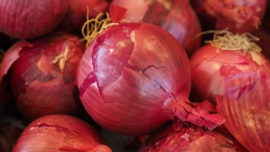 Alerta por un brote de salmonella en Estados Unidos: lo relacionan con las cebollas moradas