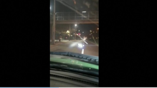 Otro puma suelto por las calles de Santiago en Cuarentena