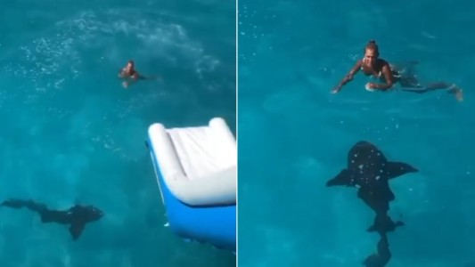 Video: un tiburón de más de dos metros le pasó por debajo