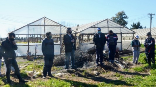 Semillas, bioinsumos y asistencia técnica para productores de la agricultura familiar de La Plata
