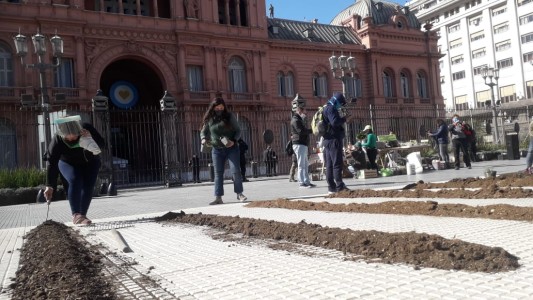 Acceso a la tierra: instalaron una chacra en Plaza de Mayo