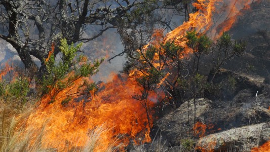 Son 11 las provincias con incendios y el 95% de ellos por acciones humanas