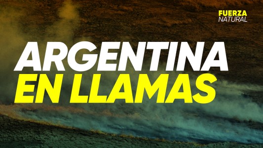 Argentina en Llamas: ¿Qué pasará después del fuego?