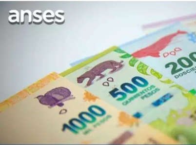 Quiénes pueden perder el IFE: qué dice la resolución de ANSES sobre datos falsos y estafa