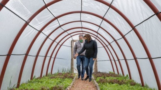 Río Negro: Construyen invernaderos solidarios para promover la soberanía alimentaria