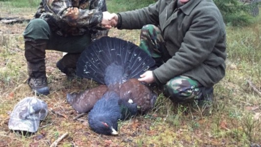 Coronavirus: Reino Unido restringe actividades pero permite salir a cazar algunas aves