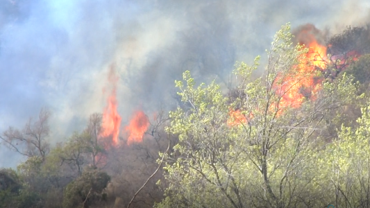 Incendios en Córdoba: hay focos activos y se los ataca por tierra y por aire