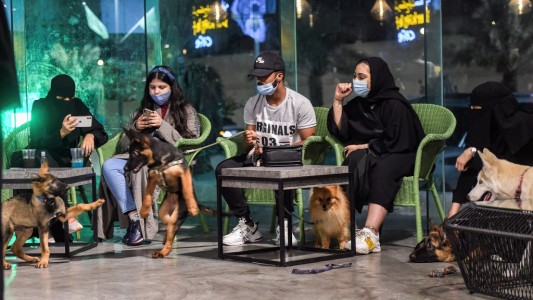 En un país que llegó a prohibir los paseos con perros, abren un café para ir con esas mascotas