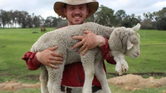 Nació un cordero con cinco patas y su dueño asegura que tendrá una "vida normal"