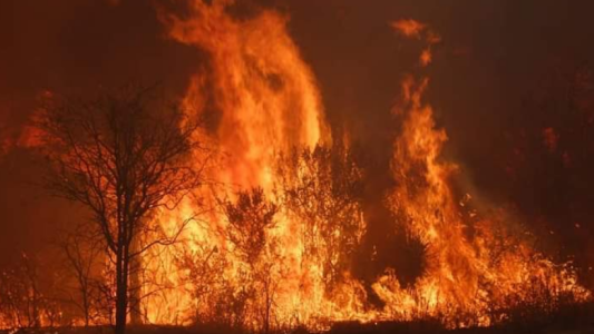 Incendios: las noticias de último momento que hay que saber para estar informado