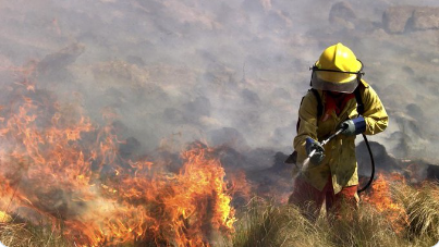 Fuego imparable: bomberos continúan trabajando en Cruz del Eje, Punilla y en el sur de Córdoba