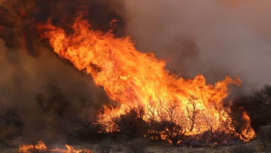 Incendios en Argentina: son once las provincias que permanecen con focos activos