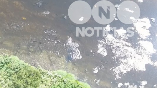 Video: en una persecución de película un extorsionador intentó arrojarse a un arroyo