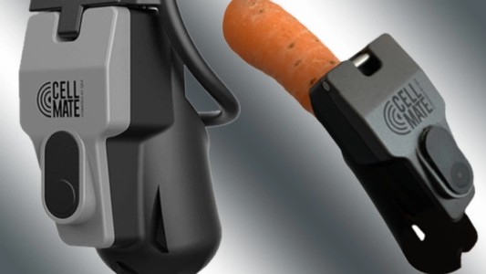 Advierten riesgo de hackeo a dispositivo "inteligente" de castidad masculina