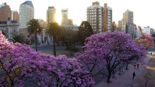 Calor y ambiente muy seco: mirá el pronóstico para este martes
