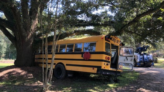 Persiguieron y detuvieron a un nene de 11 años que robó un micro escolar y lo estrelló contra un árbol