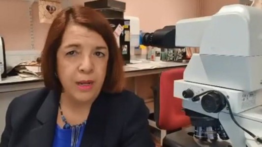 "Las pandemias duran tres años. A lo mejor, con la vacuna un año", dijo Marta Cohen