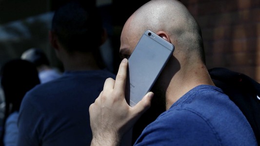 Desarrollan un "chip" de estiércol de vaca que protege contra la radiación de celulares