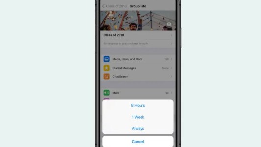 WhatsApp ya permite silenciar los grupos y chats para siempre: así se hace