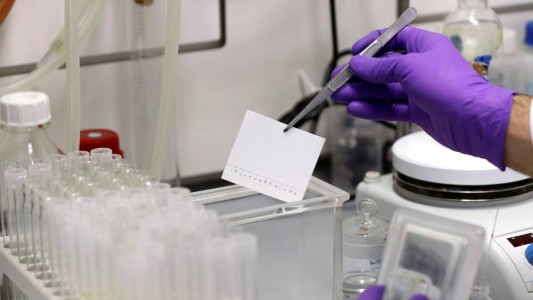 Venezuela formalizó antre la OMS el hallazgo de un medicamento contra el Covid-19