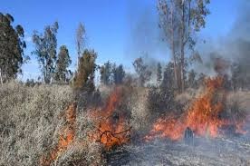 Cinco provincias continúan afectadas por incendios forestales
