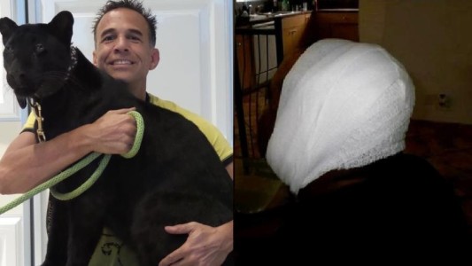 Pagó para poder pasar un rato con un leopardo negro y terminó mutilado