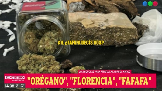 Esuchas desopilantes a una banda narco: vendían "orégano peruano" y "entradas"