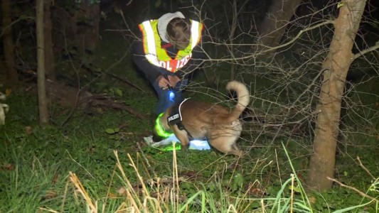 Detuvieron a un profesor de matemáticas sospechoso de asesinato y canibalismo en Berlín