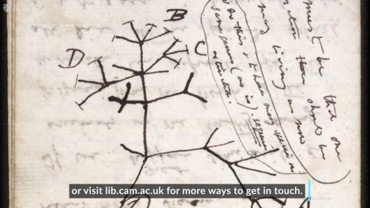 El misterio de los manuscritos de Darwin desaparecidos hace 20 años