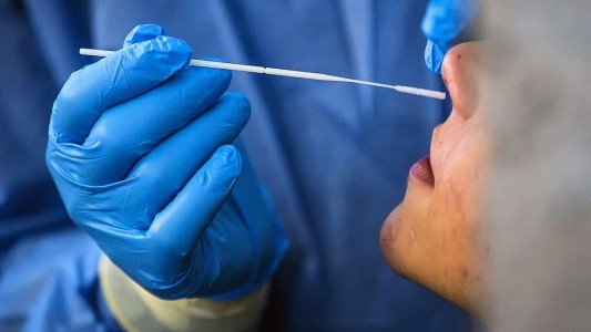 El coronavirus infecta el cerebro a través de la nariz, según revela un estudio