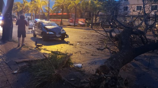 "Vi que se estaba cayendo el árbol y no pude reaccionar", el automovilista herido habló en Telefe Noticias