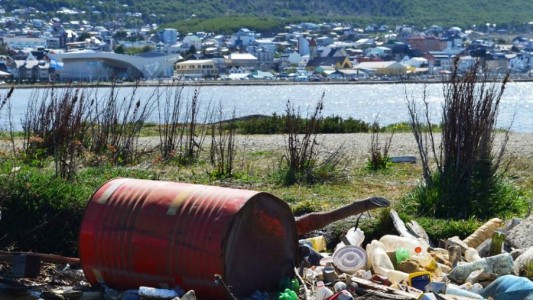 Ushuaia: primera ciudad argentina que prohíbe la venta de hisopos plásticos descartables