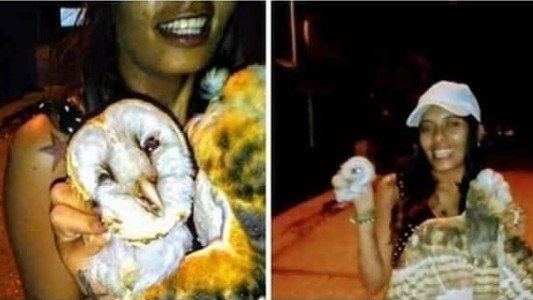 Tras grabarse decapitando una lechuza, sicarios la mataron en el frente de su casa