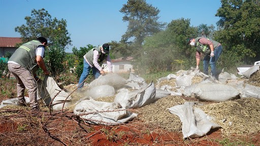 Desbarataron en Misiones millonario fraude con palitos de yerba mate de descarte
