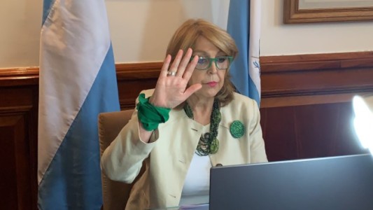 Aborto: "Muchos de los varones opinaron de manera vergonzosa", consideró la senadora Durango