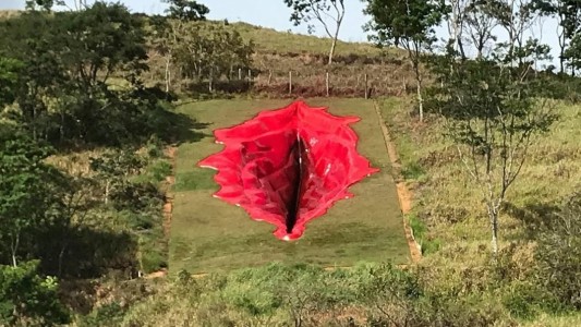 Polémica por la escultura de una vagina gigante en Brasil