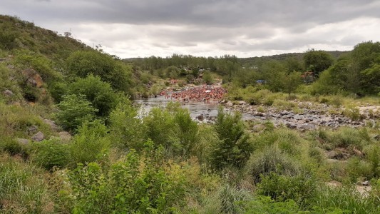 Mayu Sumaj y otro parador repleto de jóvenes sin distancia social
