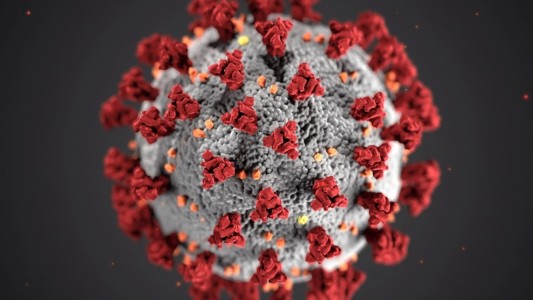 E484K: la mutación del coronavirus que pone en duda la eficacia de las vacunas