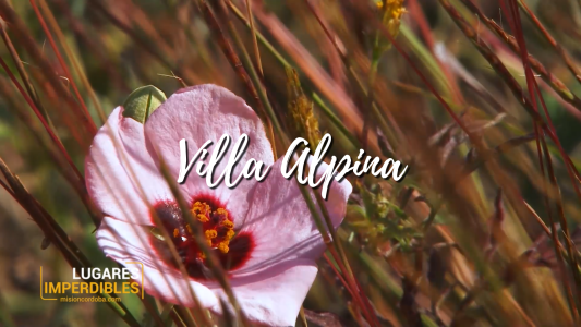 Villa Alpina, una aldea de montaña para enamorarse