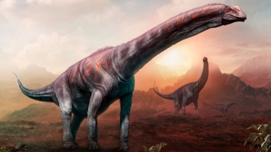 Descubrieron restos fósiles de una nueva especie de dinosaurio en Argentina que podría ser el más grande de la historia